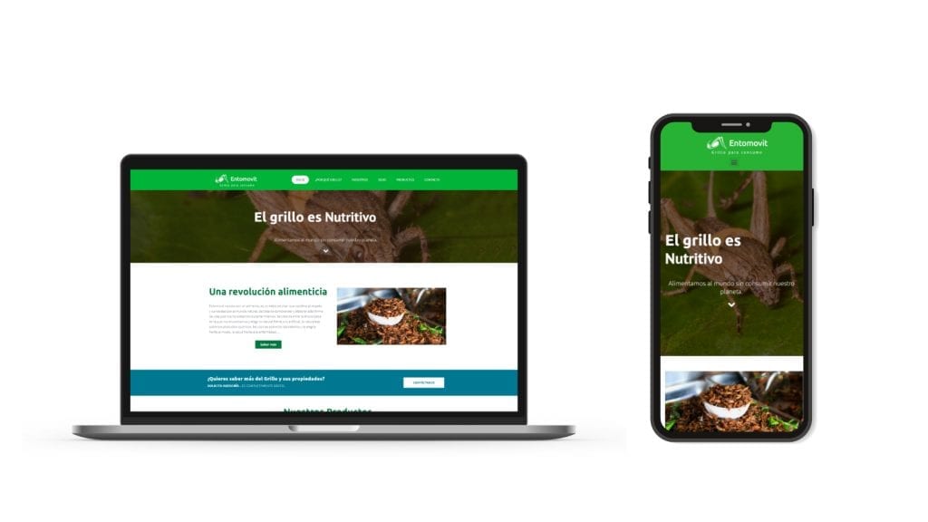 Sitio web en escritorio y movil