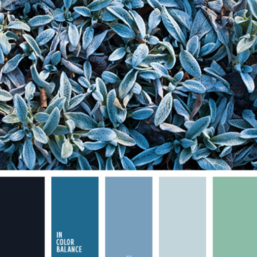 Qué Colores Escoger para tu Sitio Web 5 colores complementarios